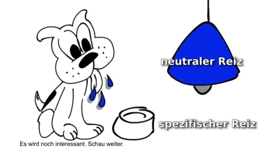 Video - Ankern und Triggern erklärt